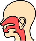 Otolaryngology